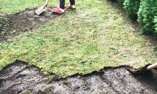 Снятие дерна старого газона в Большом Камне – от 521 руб. | 2Землекопа-Бль